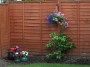 garden (3) * 2032 x 1524 * (803KB)